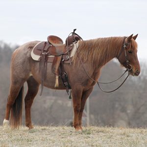 Boonie'' QUARTER HORSE MARE''