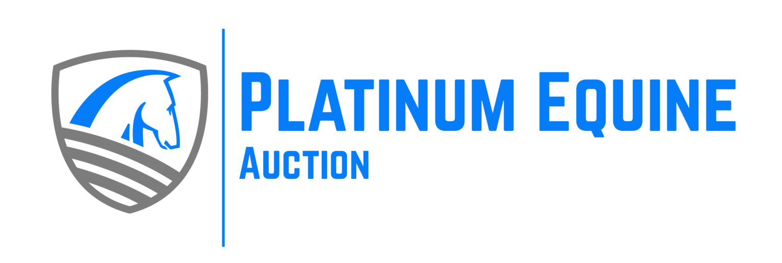 p_e_logo-01-1536x518