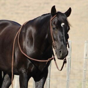 Black Jack